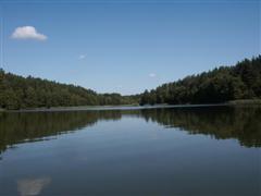 Spiegelungen